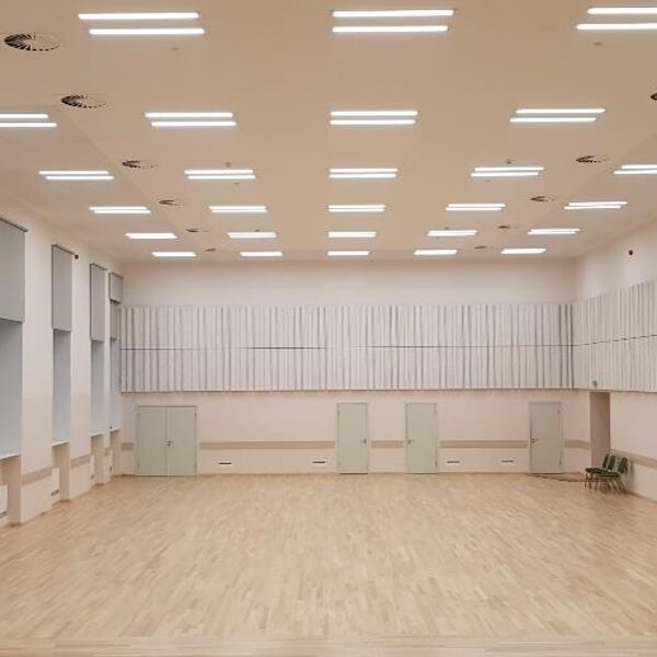 AV kliedētājs QRD Diffu Daugavpils poļu kultūras centra zālē 